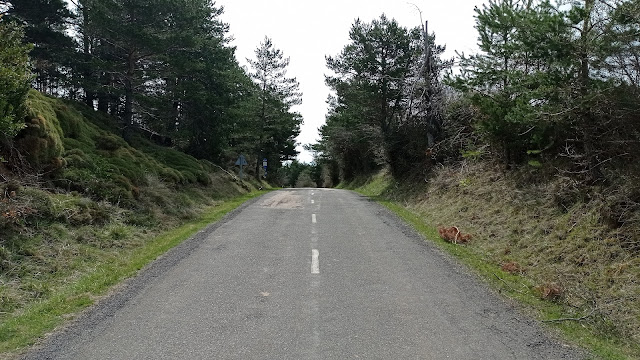 Cima del Alto de Navasa por la cara norte