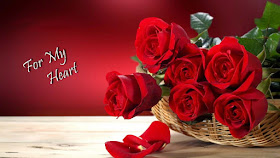 Fresh-Red-Roses-for-my-dilojan-sweet-heart-images.jpeg