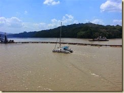 20140307_Cat on Gatun Lake (Small)