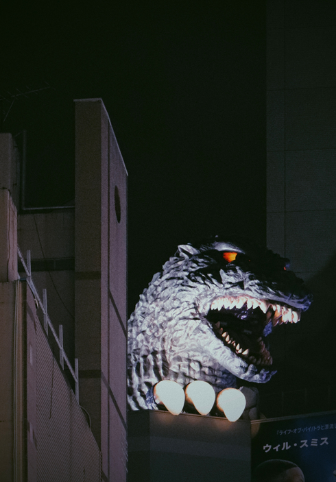 Shinjuku Kabukicho Tokyo Japan