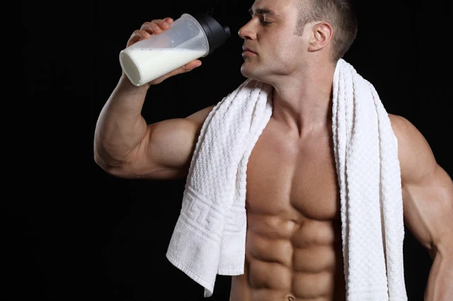 Casein Protein Powder