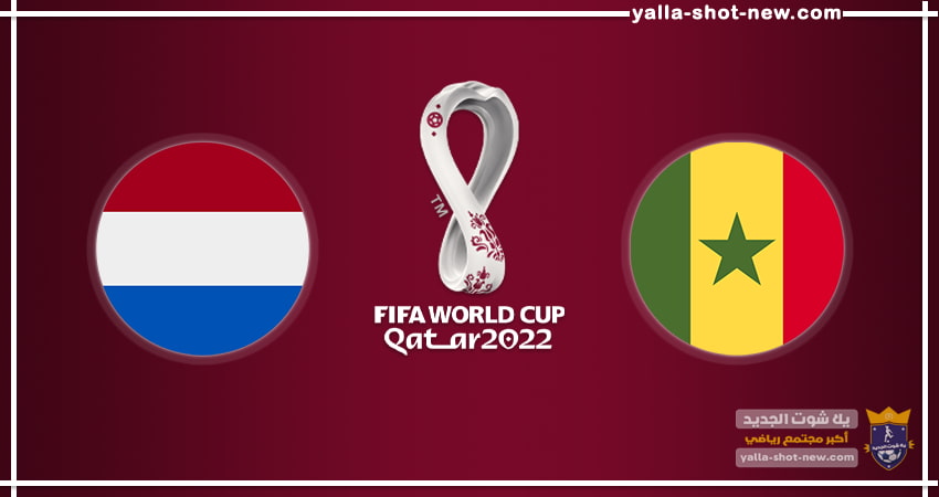 مشاهدة مباراة السنغال وهولندا بث مباشر