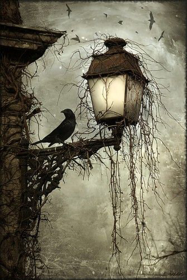 Chim và đèn cổ