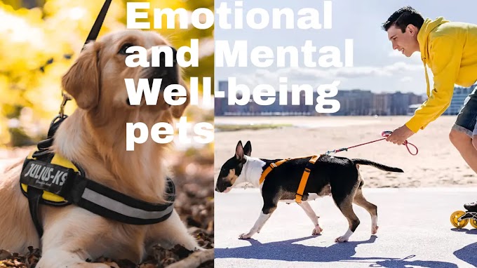 Emotional and Mental Well-being of Pets