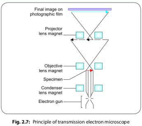 Principle of transmission electron microscope
