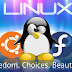 Cara Mengubah Setting Dual Boot Linux dan Windows Pada Grub 