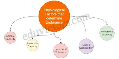 Physiological Factors Determining Components of Physical Fitness (Q and A) - Chapter Physiology and Injuries in Sports - Class 12 Physical education  (#class12PhysicalEducation)(#eduvictors)(#cbse)