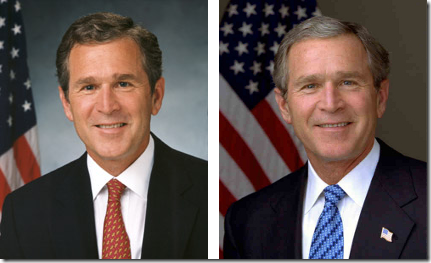 bush