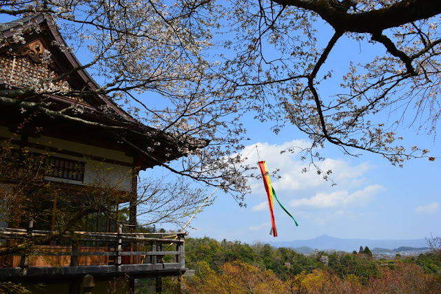 Senkoji, arashiyama, sakura 2019