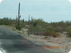 DSCN2479