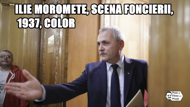 Ilie Moromete din scena foncierii - Liviu Dragnea