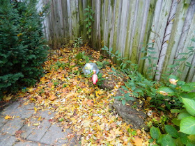 Fall Cleanup Bedford Park Backyard Before by Paul Jung Gardening Services--a Toronto Gardening Company