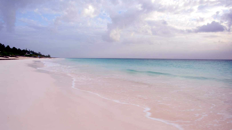 Pink sand beach, Bahamas
