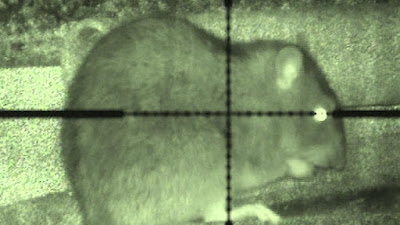 best night vision scope for rats