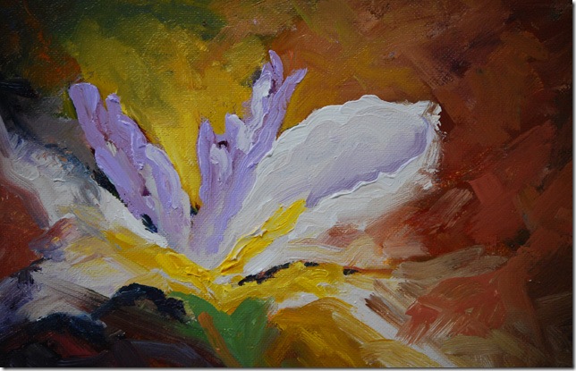 Iris Emerging resized close up 1