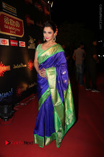 Actress Adah Stills in Blue Silk Saree at Gemini TV Puraskaralu 2016 Event  0107.JPG