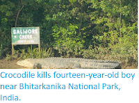 https://sciencythoughts.blogspot.com/2018/04/crocodile-kills-fourteen-year-old-boy.html