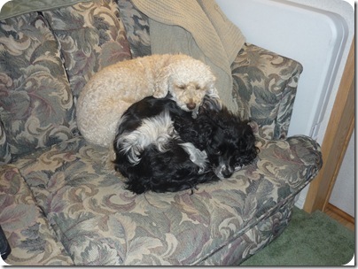 clip_image004