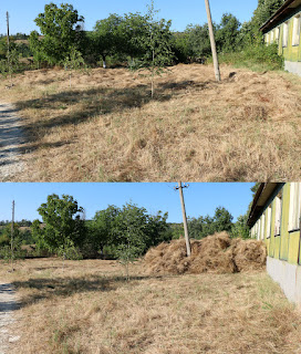 Before and after clearing the first part of the field