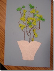 Forsythia Bushes 3rd Grade (2)