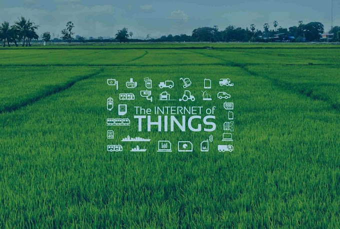 IoT in Agriculture Market Size By Offering, By Application, By Geographic Scope And Forecast