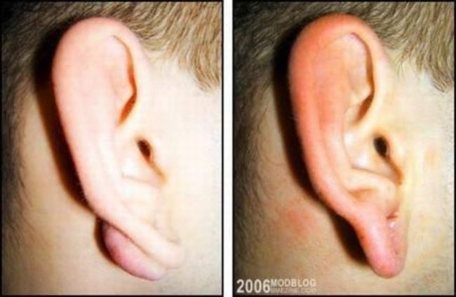 Piercings e Alargadores