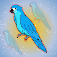 Play Escape The Spix Macaw