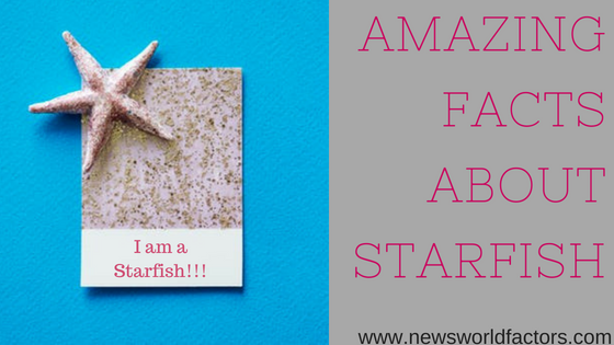 Amazing facts about starfish by Newsworldfactors