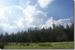 DSC05403