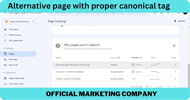 Alternate page with proper canonical tag in Search Console: How to prevent error