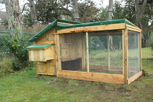 DIY chicken coop and run