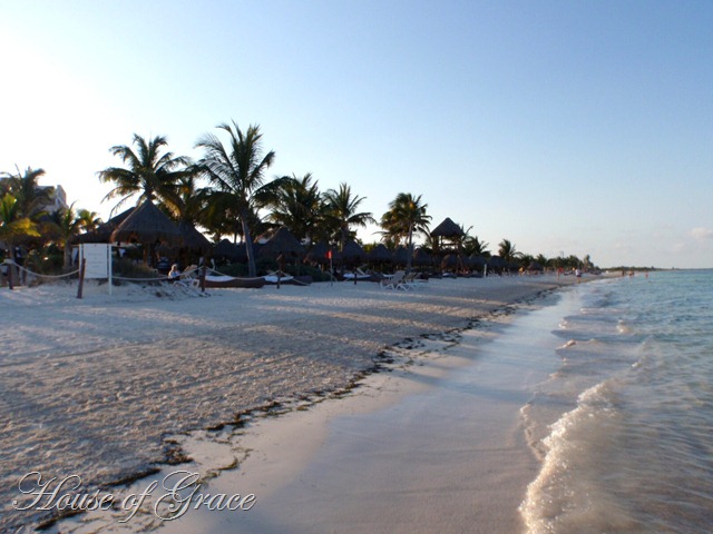 2011 03 02_2895