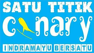 Kenari Satu Titik!! Ajang Silaturohmi antar Sesama Kenari Mania Indramayu, Basecamp SEBLAK SF, Rabu 28/02/2018