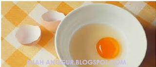 10 Manfaat Putih Telur Untuk Kesehatan Dan Kecantikan
