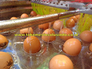 proses-mencuci-telur-dengan-mesin-pembersih-telur