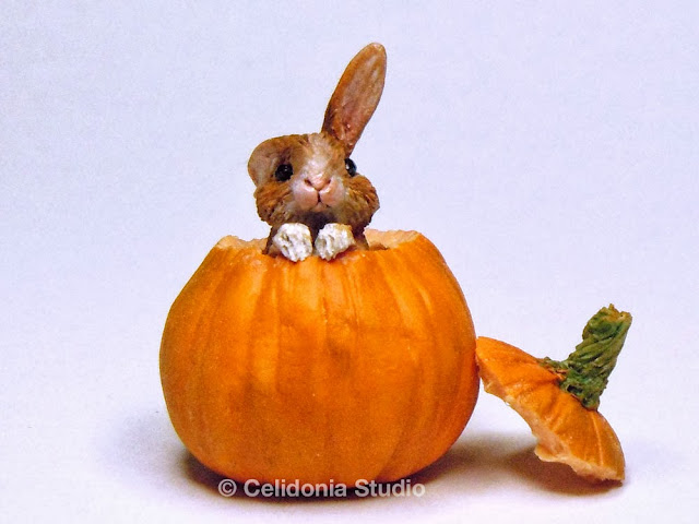 Miniature Rabbit in Pumpkin