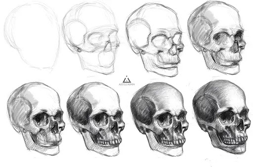 Como Dibujar un Esqueleto Humano Paso a Paso [ Guia 2021 ]