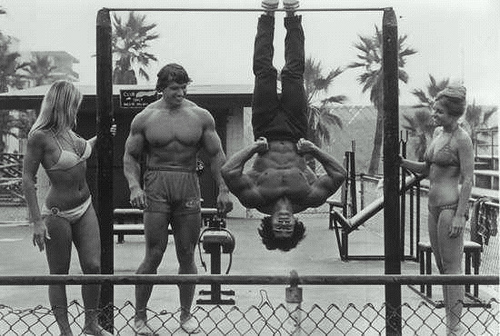 arnold schwarzenegger workout pics. arnold schwarzenegger workout.