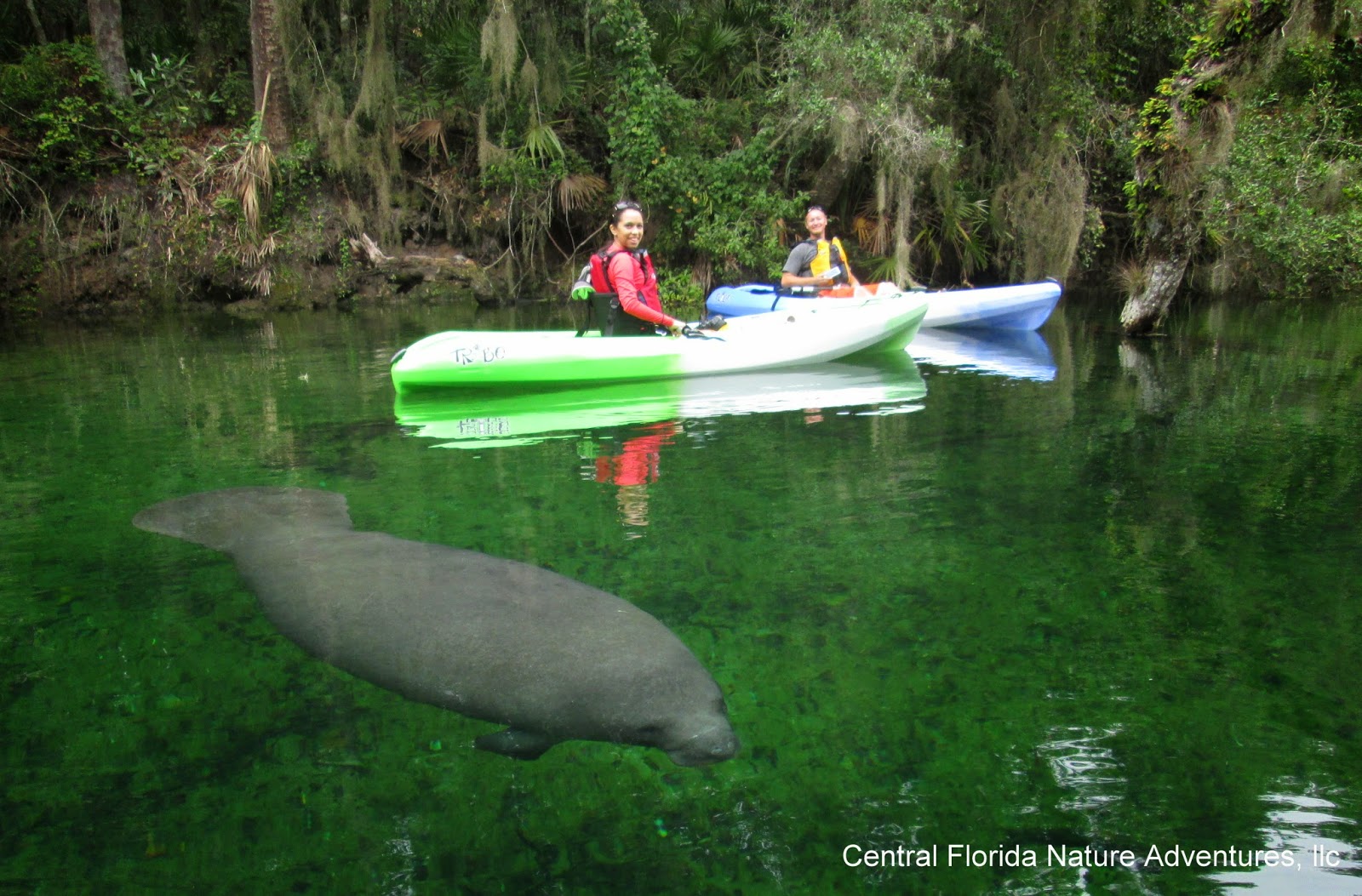 Kayaking near Orlando, Florida