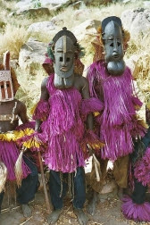 suku dogon