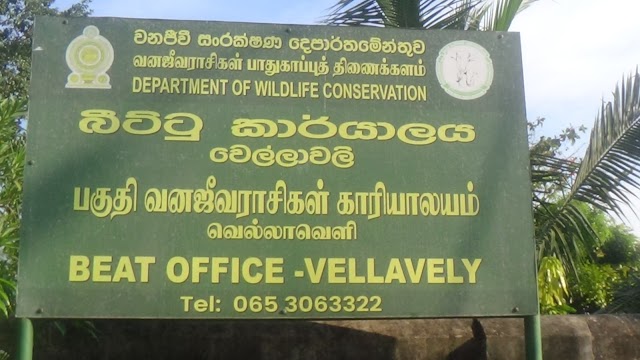 மட்டக்களப்பு மாவட்டம்   வெல்லாவெளிப் பகுதியில் பகல் வேளையிலேயே கிராமத்திற்குள் படையெடுத்த காட்டுயானைகள்.