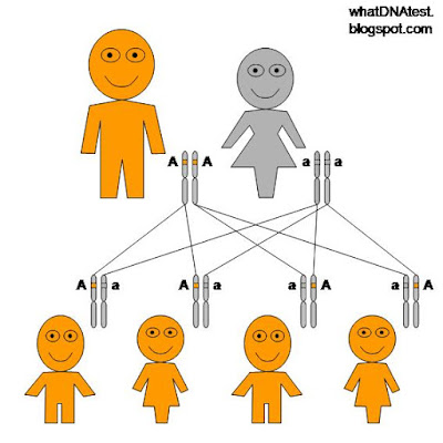 diagram of autosomal dominant genetic inheritance pattern, one parent affected homozygous one normal, by whatdnatest