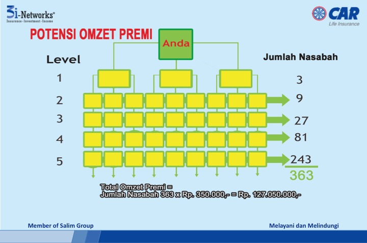 peluang bisnis 9 3i networks