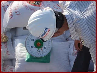 Quality-Inspector-in-Vietnam - for rice in bags 1