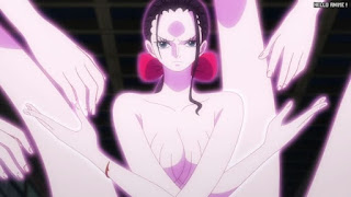 ワンピースアニメ 1043話 ロビン 巨人咲き ヒガンテフルール | ONE PIECE Episode 1043