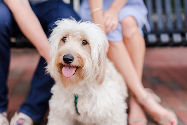 Summer Sunset Engagement Session in Downtown Annapolis, Photos by Heather Ryan Photography