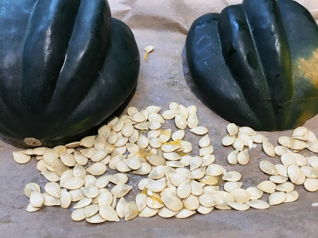 acorn squash and acorn squash seeds