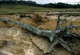 soil erosion, Its Effect of soil erosion