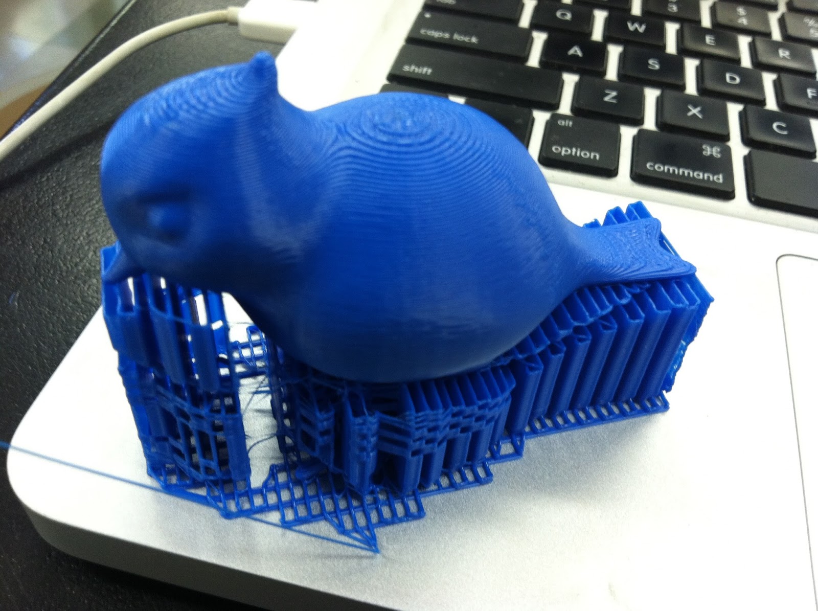 Tales of a 3D Printer Bird for Putting on Things