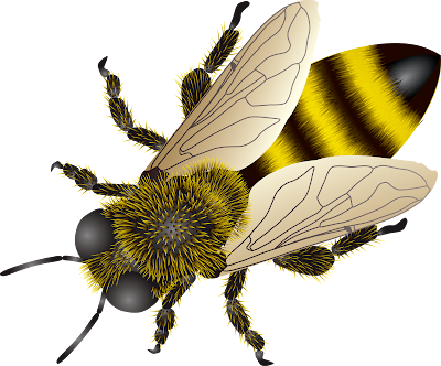 clipart bee collecting nectar 